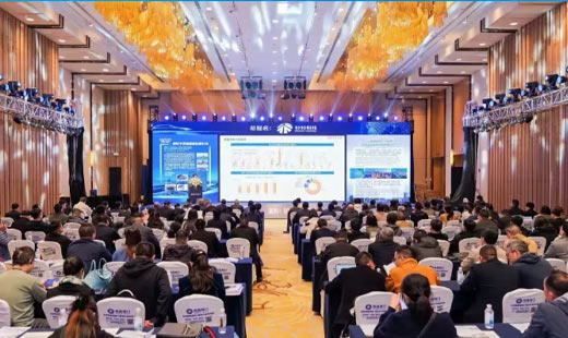 开云kaiyun官方版在线入口荣获&ldquo;2024年度锂电负极材料行业最具品牌价值奖&rdquo;